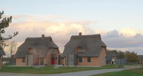Reetdorf Geltinger Birk Malerhaus Eichenwald in Nieby